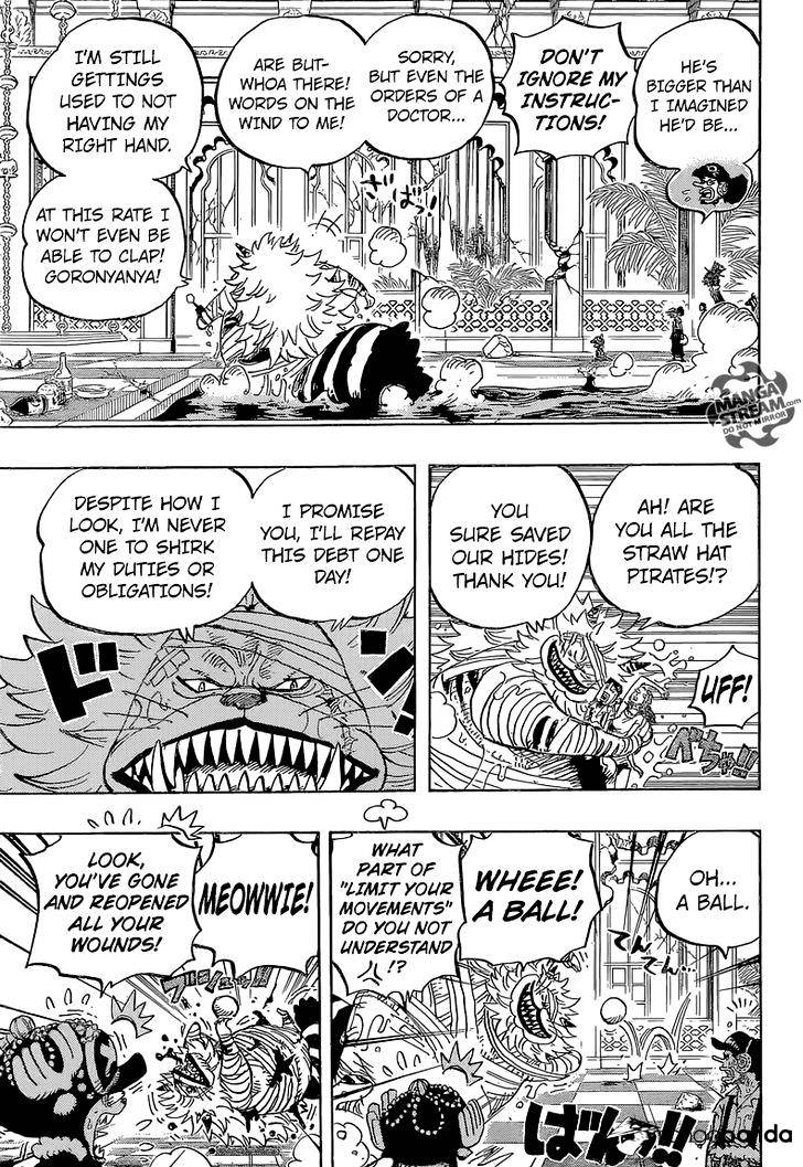 One Piece Chapter 814 Let S Go To See Master Nekomamushi Free Yaoi Hentai Online Yaoi Porn Yaoi Haven Hentai Manga Hentai Manhwa